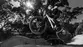 SPECIALIZED P.1