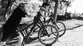 SPECIALIZED P.2