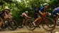 SPECIALIZED DIVERGE PRO LTD