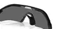 ÓCULOS OAKLEY RADAR® PLATE Lentes prizm black polarized ,  Armação matte black