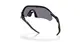 ÓCULOS OAKLEY RADAR PLATE -Lentes prizm grey ,  Armação matte black